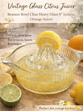 Clear Glass Citrus Reamer Juicer - Classic Clear Glass